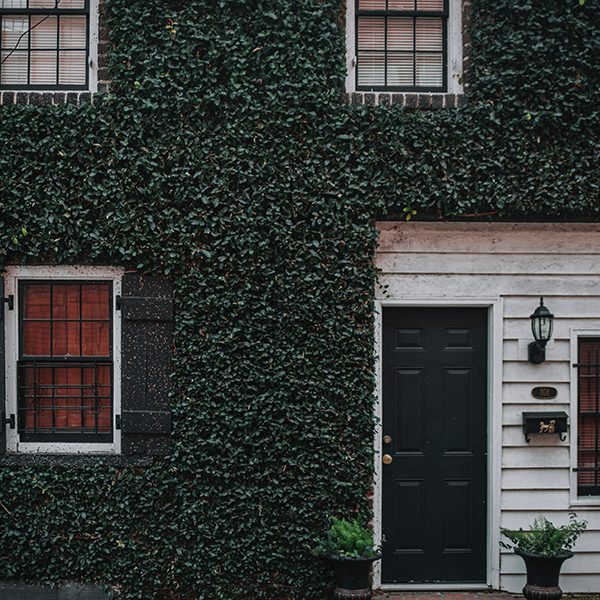 Green Facade